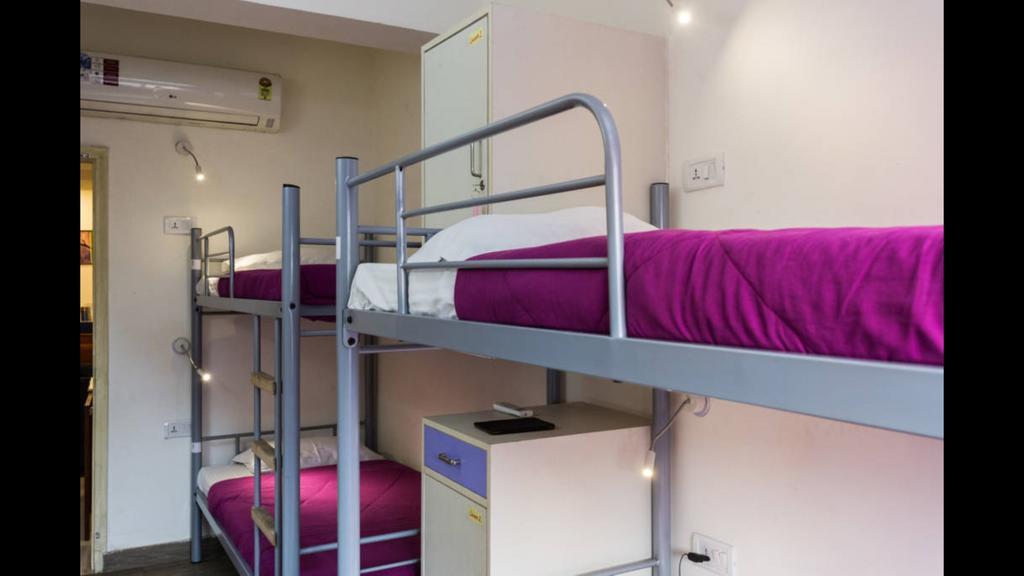 Hostel Joey's Delhi